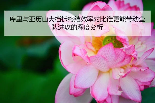 库里与亚历山大挡拆终结效率对比谁更能带动全队进攻的深度分析