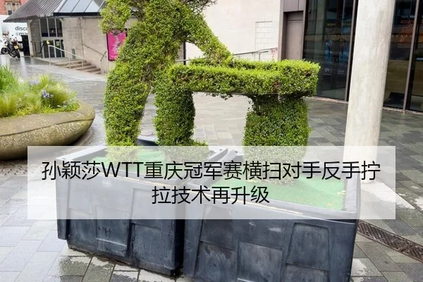 孙颖莎WTT重庆冠军赛横扫对手反手拧拉技术再升级